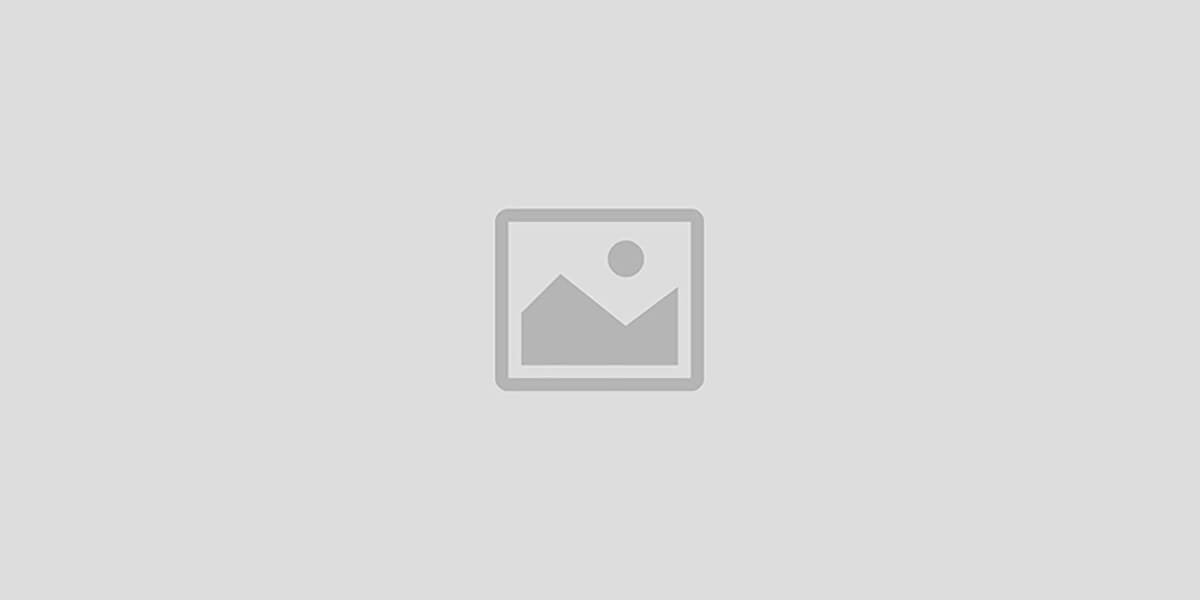 Fit Alphaa