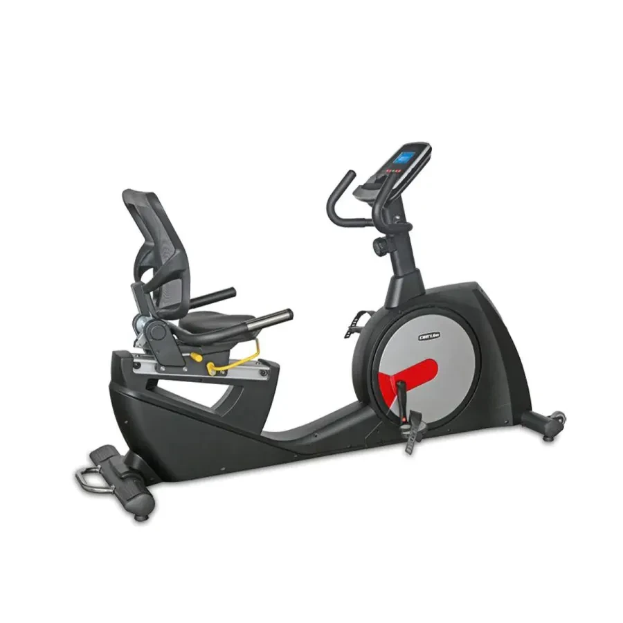 Daily Youth  Fd5024 Recumbent Bike