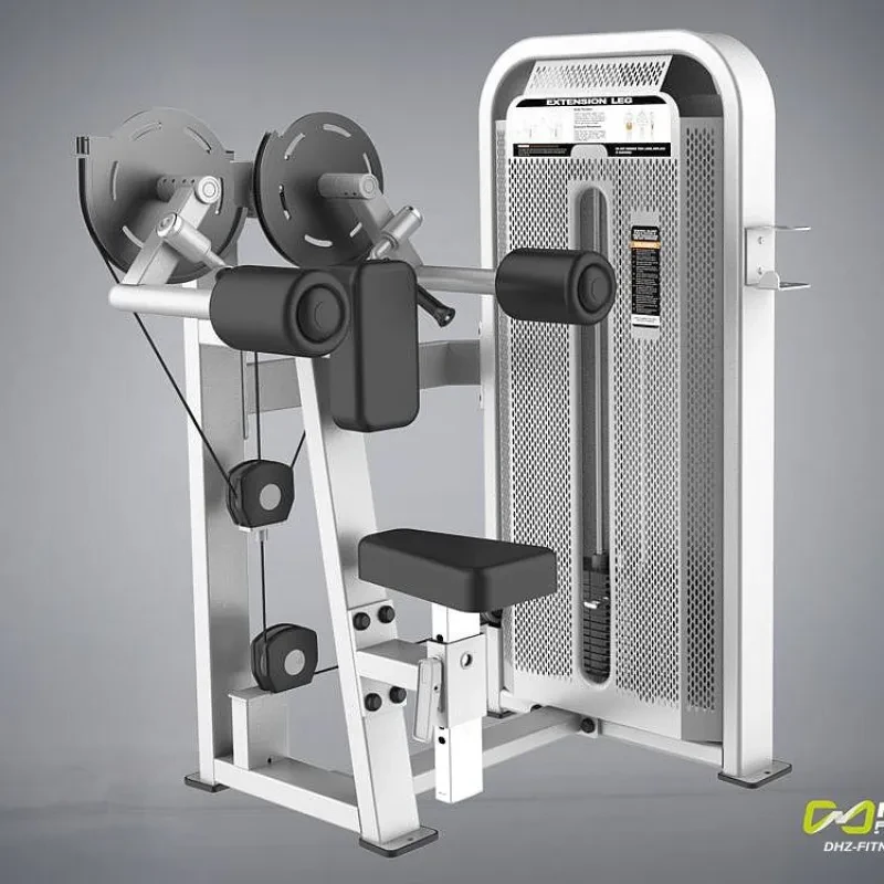 Lateral Raise – E5005