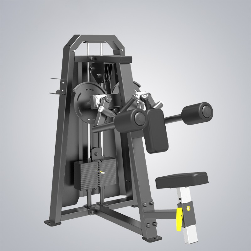 Lateral Raise DHZ-T1005 Upgrade
