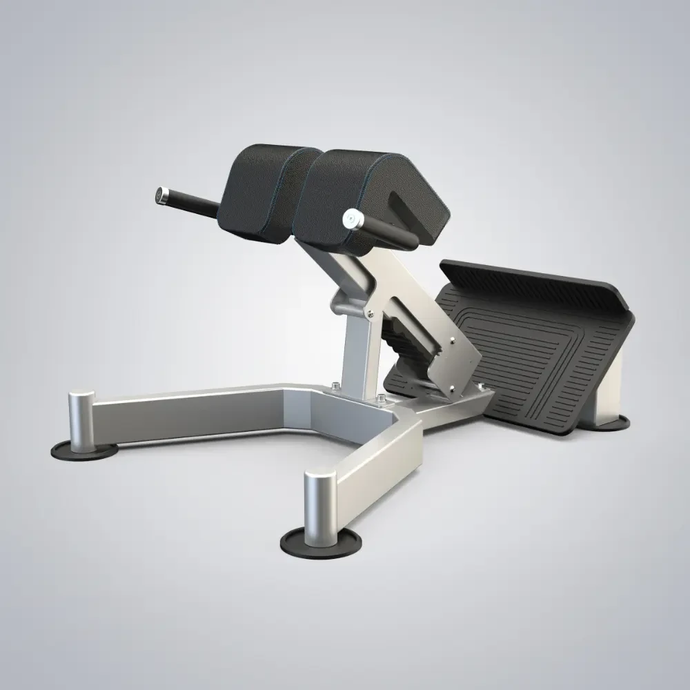 Back Extension DHZ-U3045