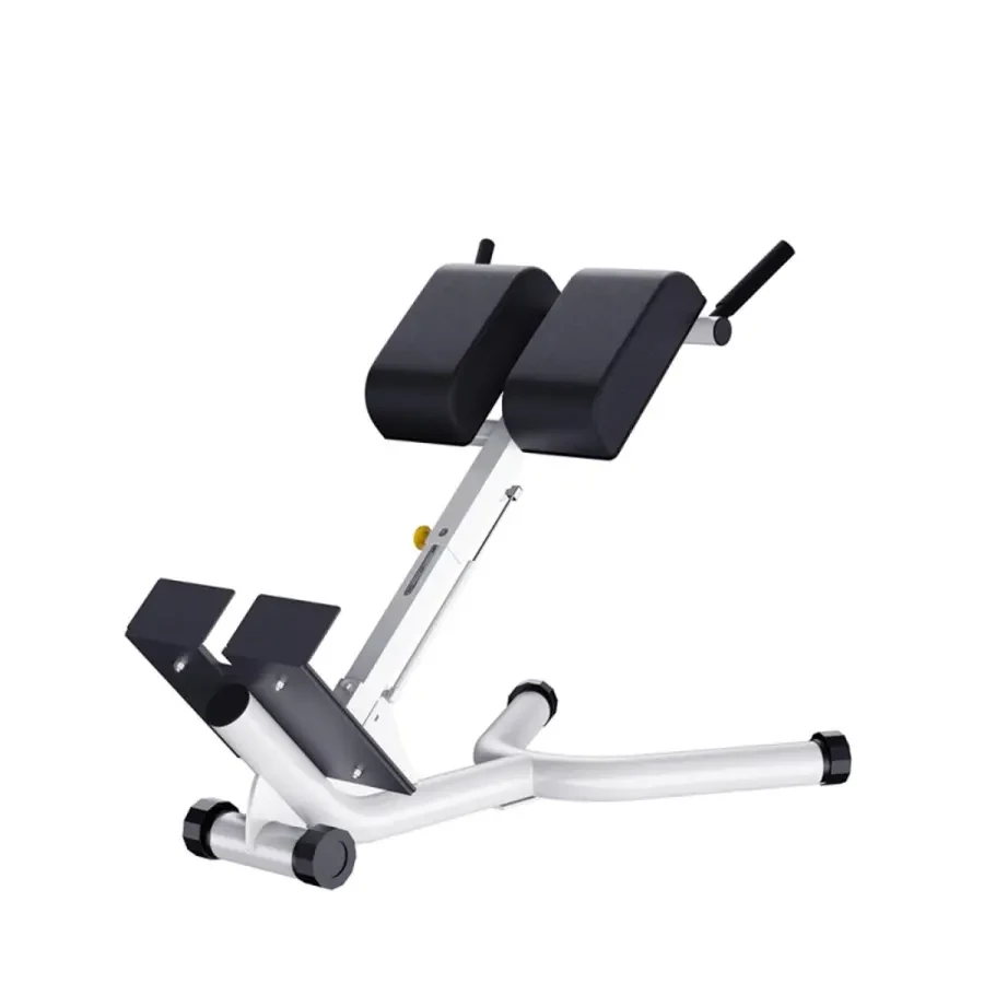 WNQ Back Extension Hyper Extension Machine F1-A93