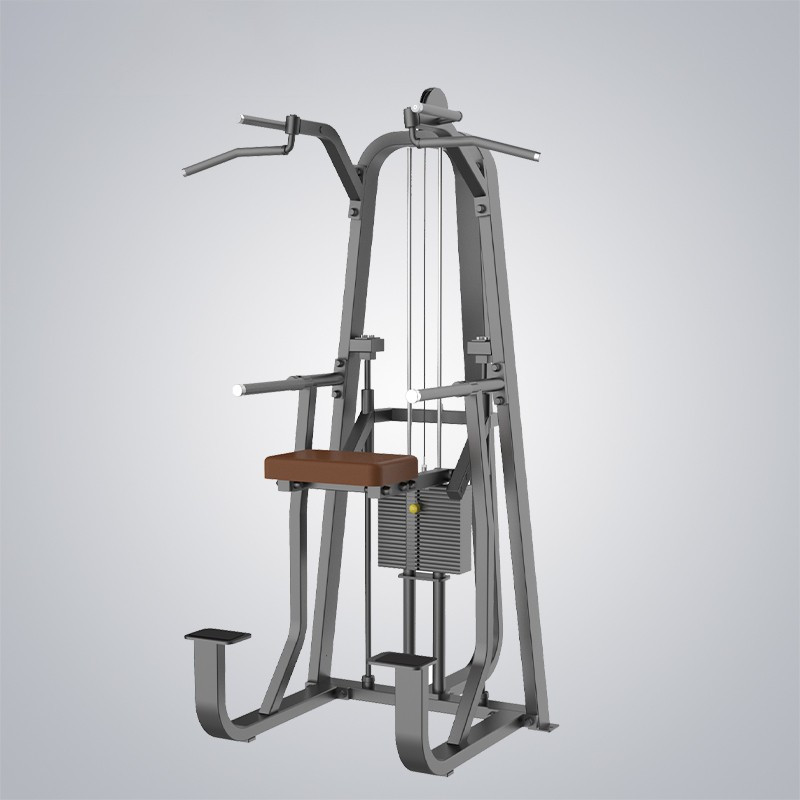 Dip and Chin up Assist Machine DHZ T1009