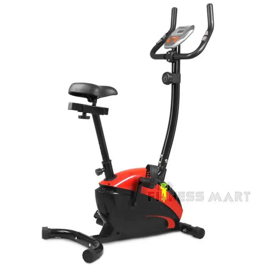 Magnetic exercise bike Iron master 352B