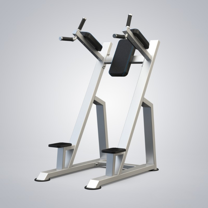 Vertical Knee Up Dip DHZ U3047